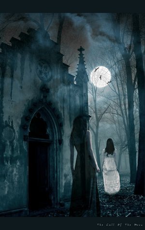 Le Fant&ocirc;me d`une Ombre