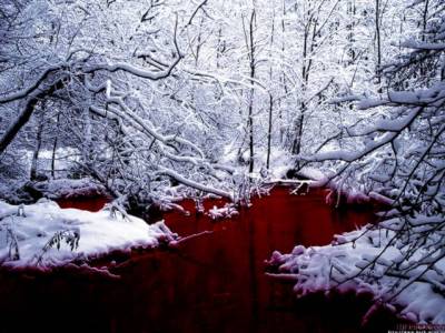 Lac de sang sous la neige