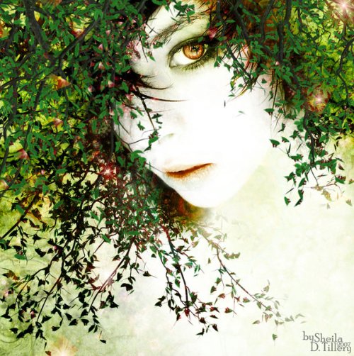 Spring, Sheila